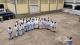 Prise d habits 2021 21 